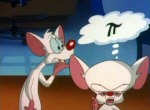 Animaniacs - image 9