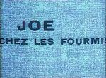 Joe chez les Fourmis - image 1