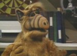 Alf - image 2