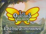 Les Oursons Volants - image 1