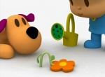 Pocoyo - image 4