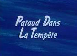 Pataud dans la tempête - image 1