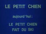 Le Petit Chien - image 1