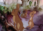 La Garenne de Watership Down - image 2