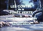 Les Contes de la Forêt Verte - image 1