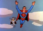 Superboy <span>(<i>dessin animé</i>)</span>