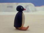 Pingu - image 6