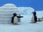 Pingu - image 29