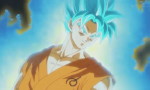 Dragon Ball Super - image 15