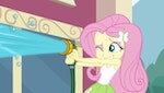 My Little Pony - Equestria Girls : Mini Série - Les Contes de Canterlot High - image 2