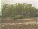 Naturimages - image 10